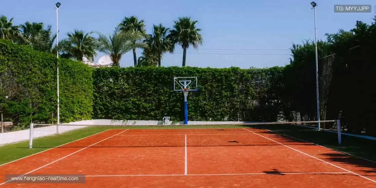 一键直击全球赛事，精彩从不缺席！🏀